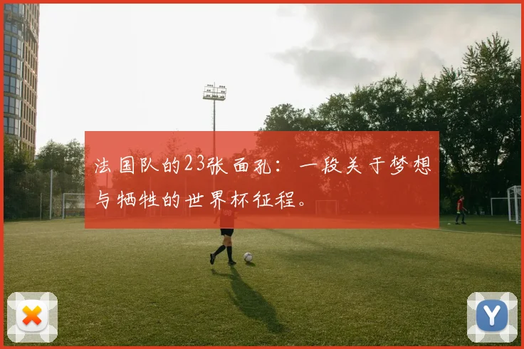 法国队的23张面孔：一段关于梦想与牺牲的世界杯征程。