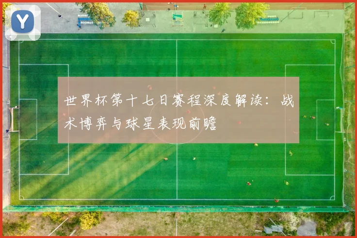 世界杯第十七日赛程深度解读：战术博弈与球星表现前瞻