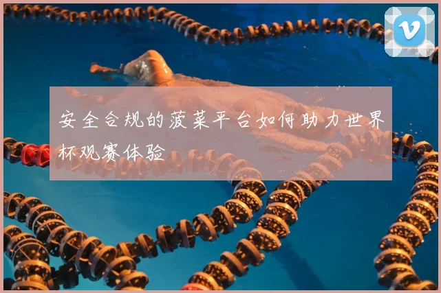安全合规的菠菜平台如何助力世界杯观赛体验