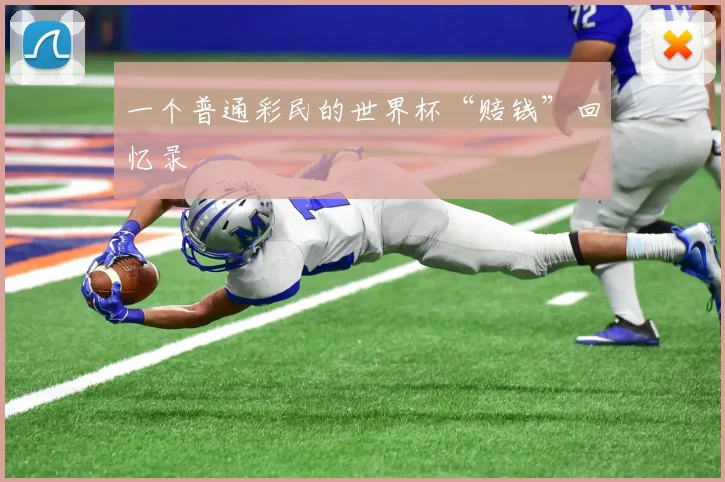 一个普通彩民的世界杯“赔钱”回忆录