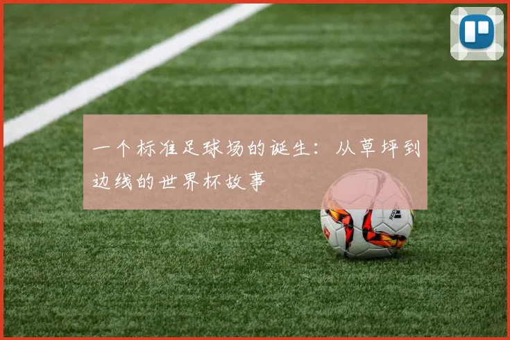 一个标准足球场的诞生：从草坪到边线的世界杯故事